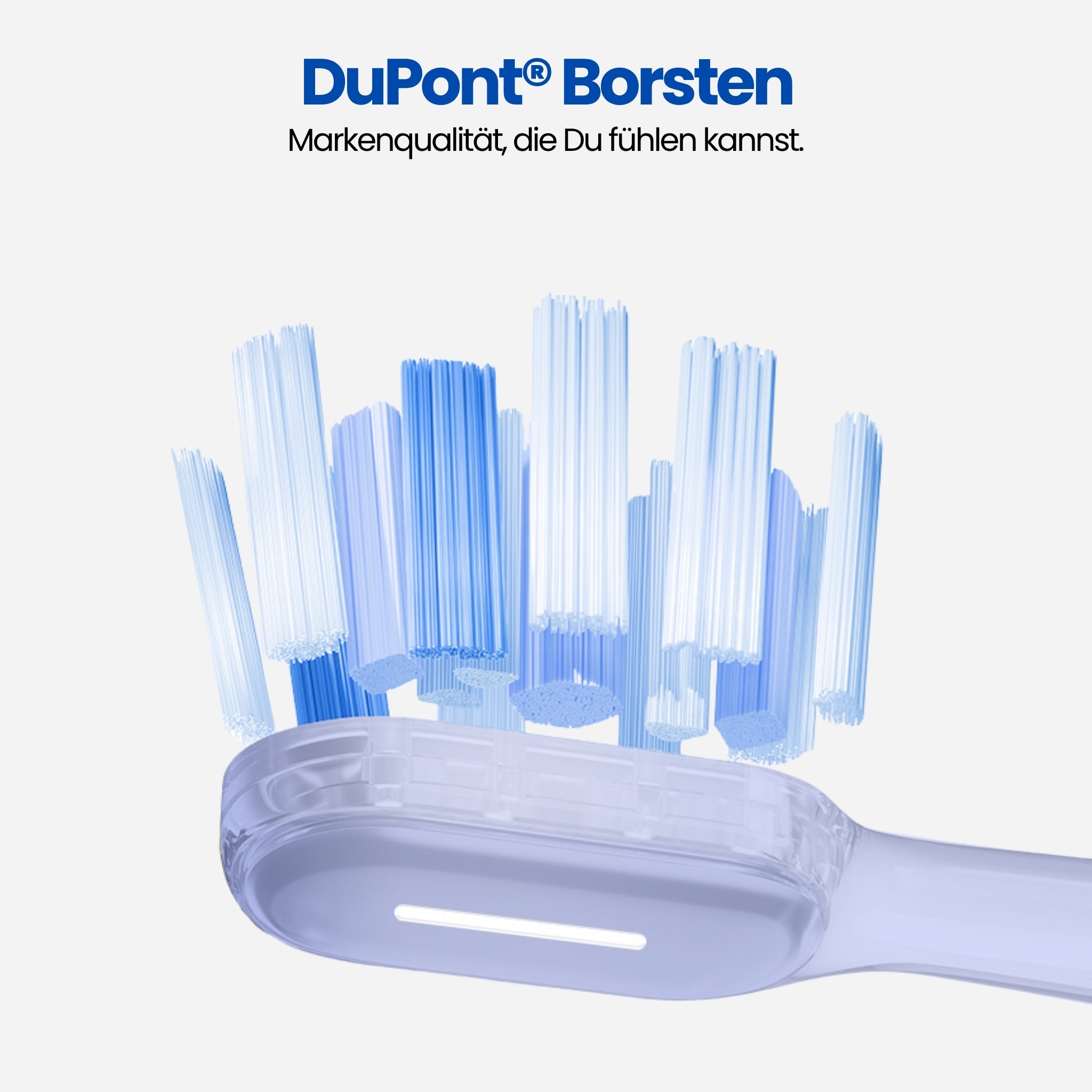 Ersatzbürstenköpfe Osonic